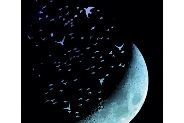 Luminance 2021_Cédric NELLENBACH_La lune dans tous ses états_B_036_3_B