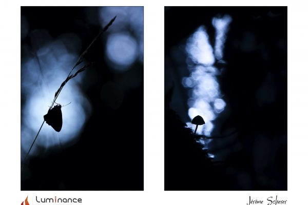 Luminance 2021_Jérôme SCHERER_Silhouette_B_014_3_D
