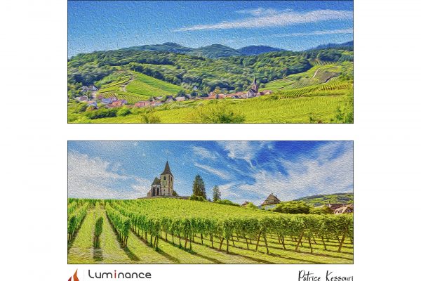 Luminance 2021_Patrice KESSOURI_La route des vins d’Alsace_B_013_1_E
