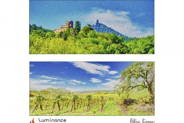 Luminance 2021_Patrice KESSOURI_La route des vins d’Alsace_B_013_2_E