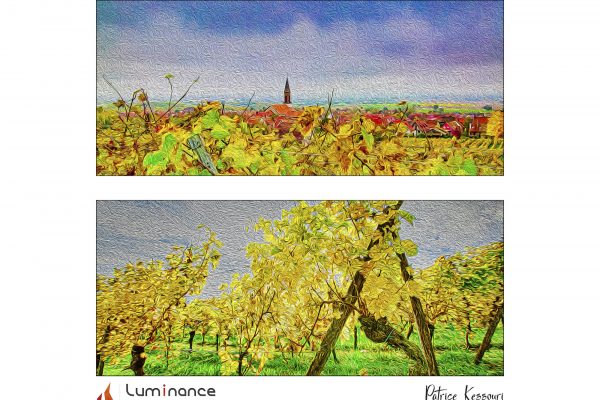 Luminance 2021_Patrice KESSOURI_La route des vins d’Alsace_B_013_3_E