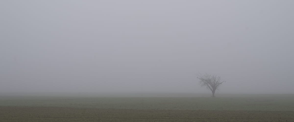 Doris CHATAIGNER_diaporama_DSC4991