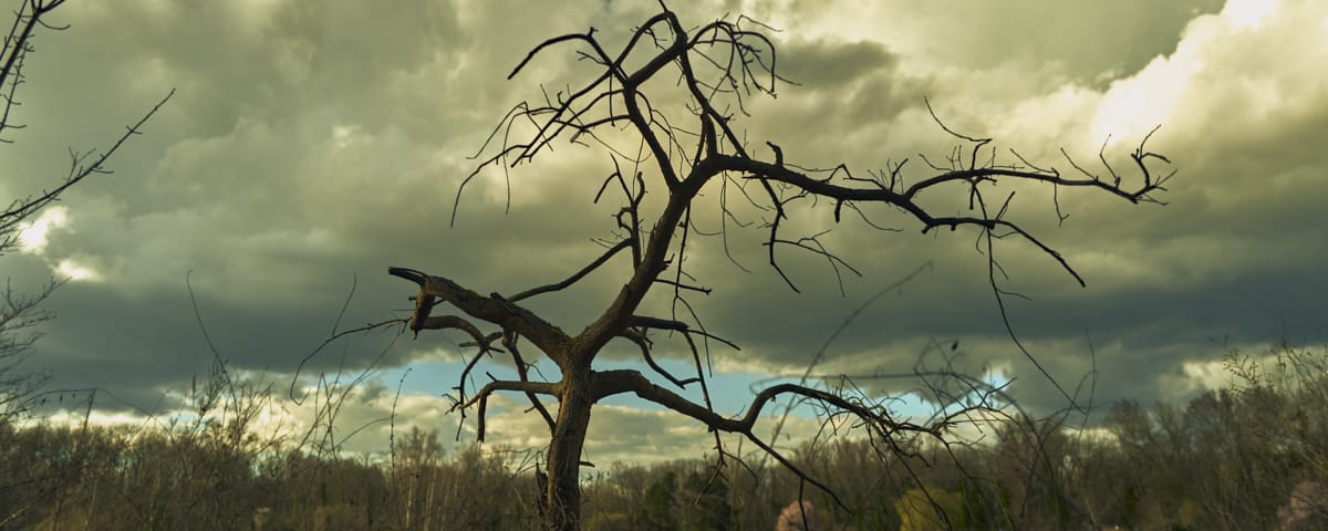 Gilbert RENNINGER_Diaporama_L1007355