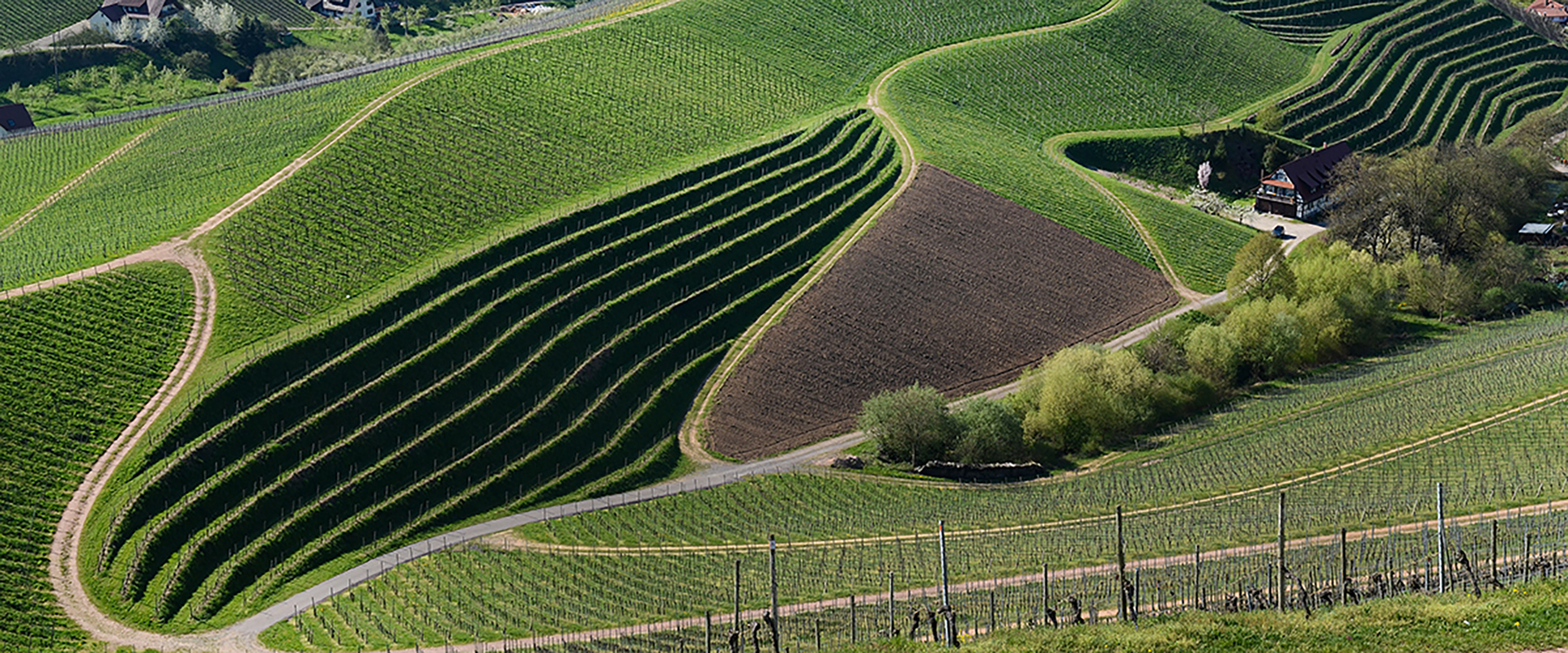 Carlo_RUGGERI_Diaporama_DSC_7639